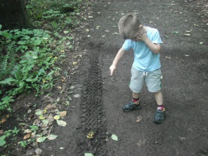 We found tracks!!